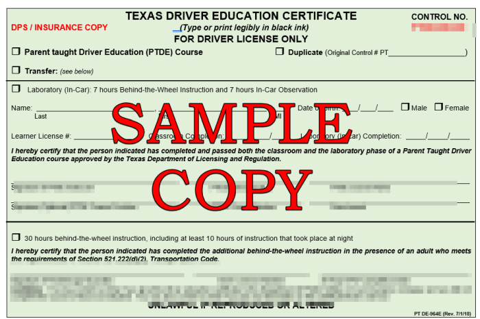 sample texas driving test
